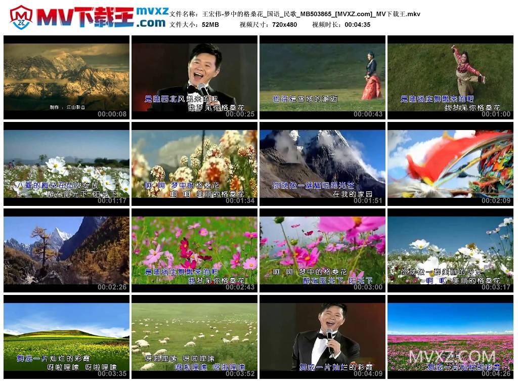 王宏伟-梦中的格桑花_国语_民歌_MB503865